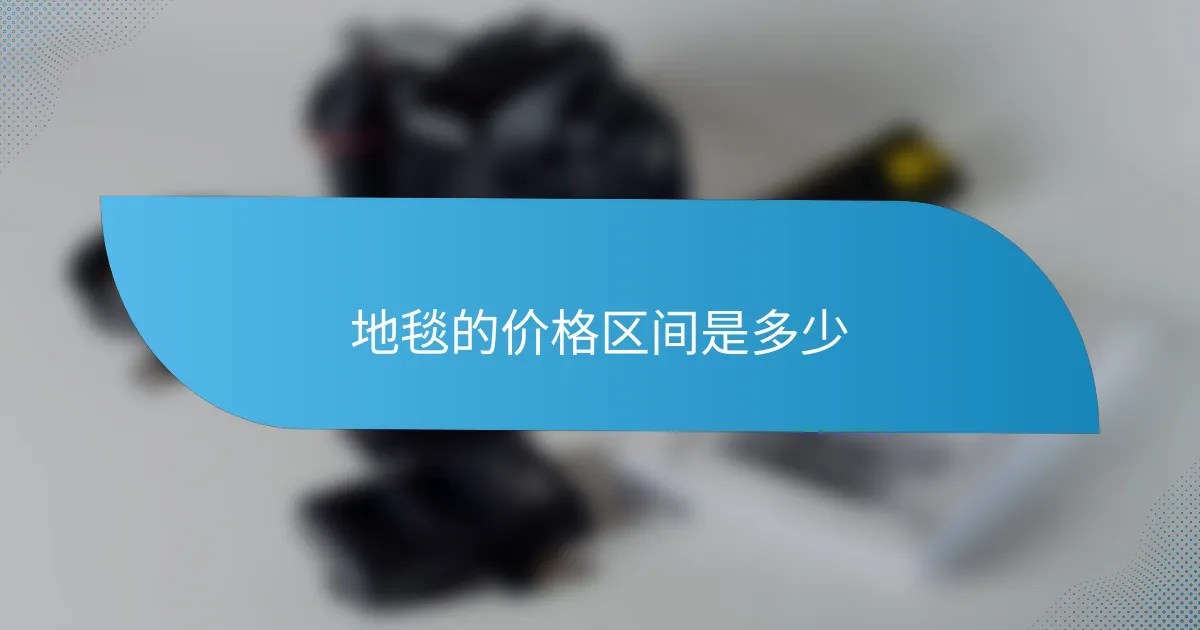 地毯的价格区间是多少