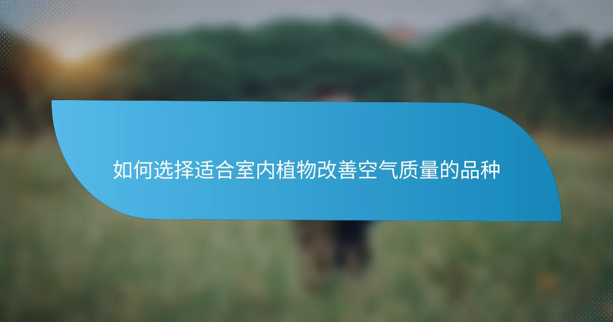 如何选择适合室内植物改善空气质量的品种