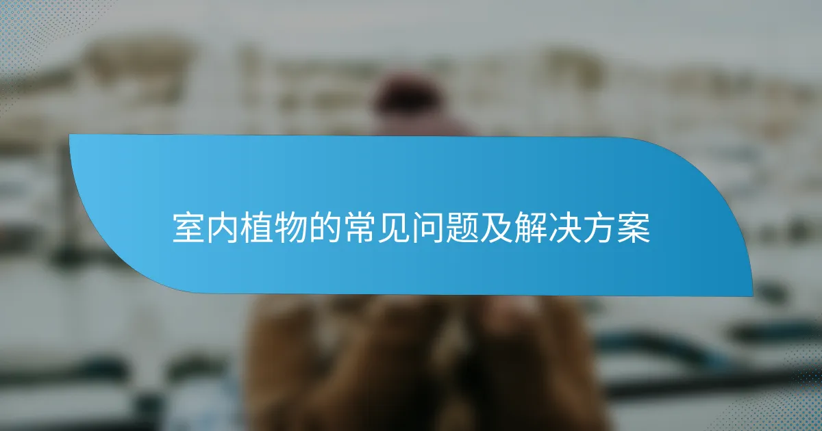 室内植物的常见问题及解决方案