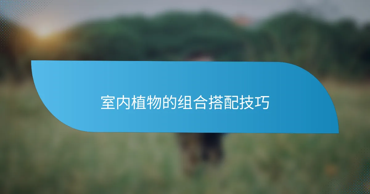 室内植物的组合搭配技巧
