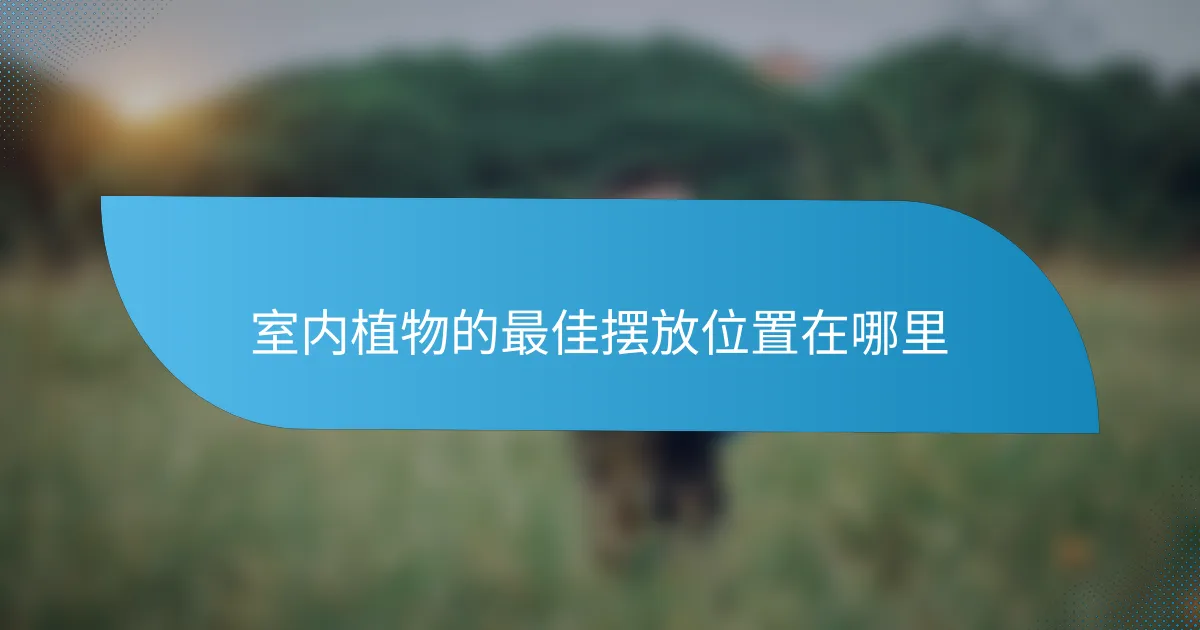室内植物的最佳摆放位置在哪里