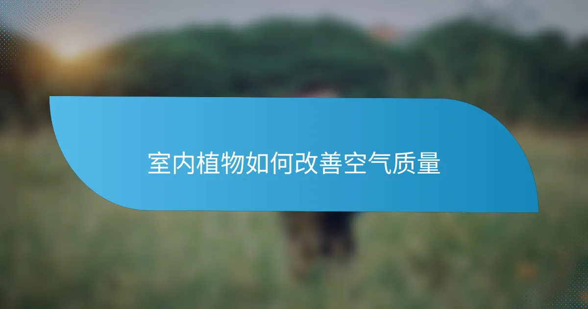 室内植物如何改善空气质量